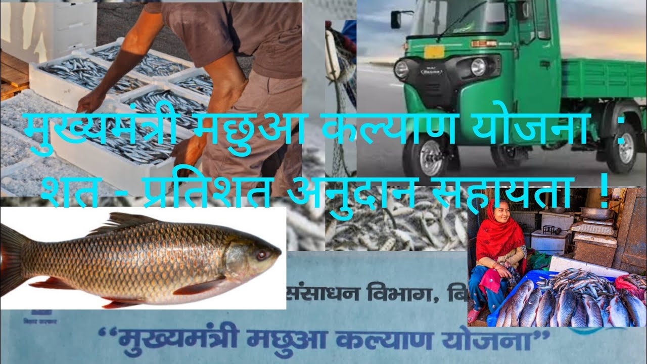 मुख्यमंत्री मछुआ कल्याण योजना : शत - प्रतिशत अनुदान सहायता !