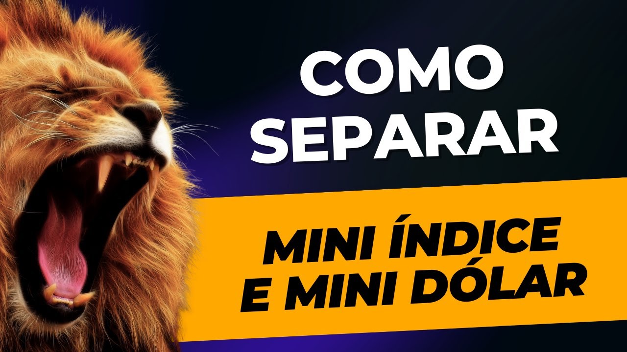 Como separar mini &iacute;ndice e mini d&oacute;lar para apura&ccedil;&atilde;o do Imposto de Renda
