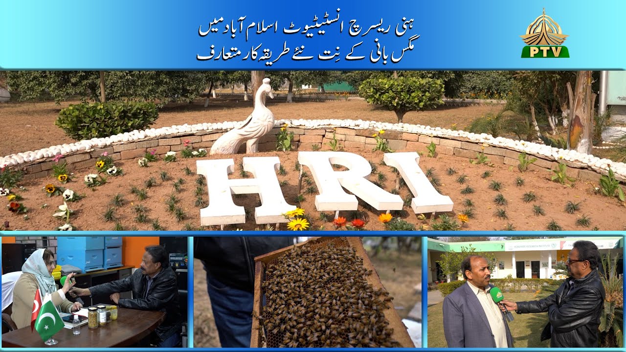 HARYALI HONEY RESEARCH INSTITUTE ISLAMABAD PART 1