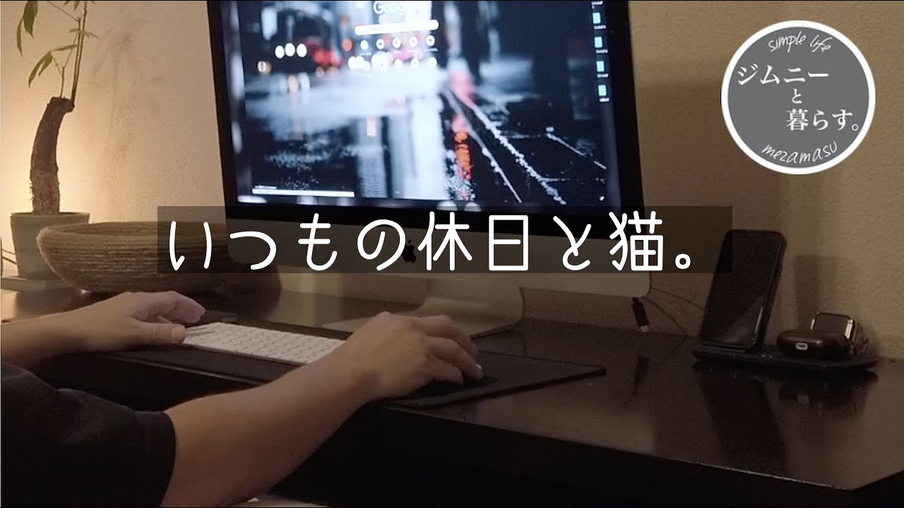 【猫と日常】いつもの休日と猫。