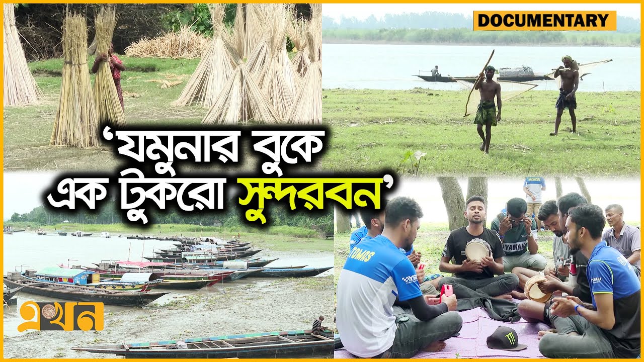 মুগ্ধতা ছড়াচ্ছে ধারাবর্ষা চরের শান্ত স্নিগ্ধ প্রকৃতি | Bogura | Documentary | Ekhon TV