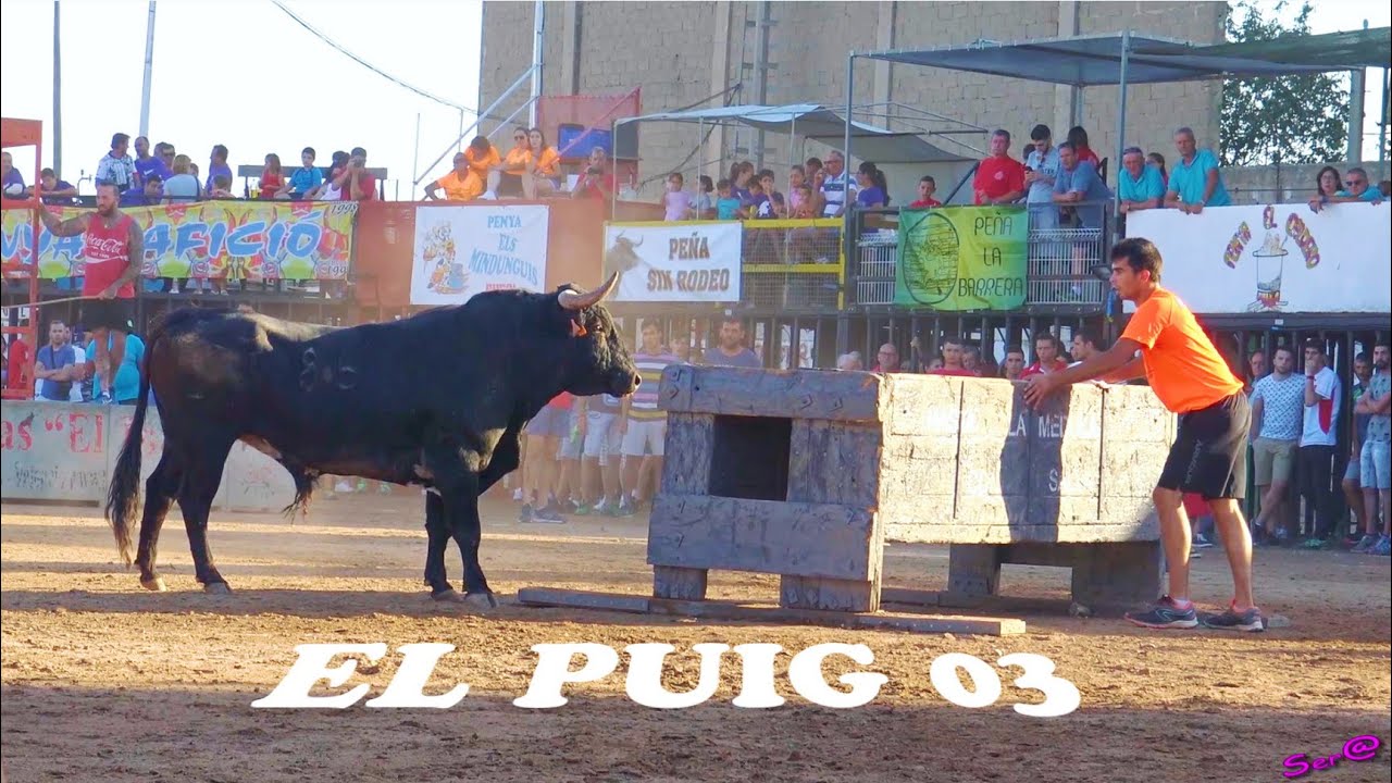 ✅2018 EL PUIG 03 ◾ Ganaderia El Cali