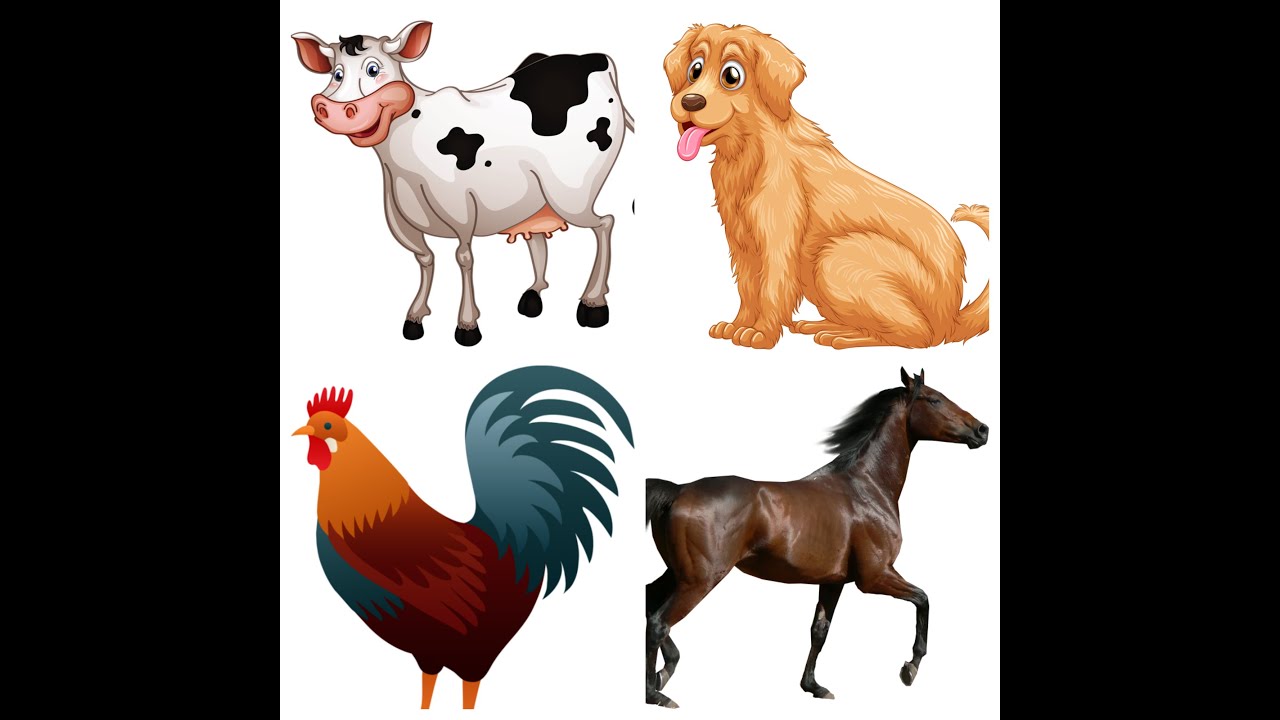 ԸՆՏԱՆԻ ԿԵՆԴԱՆԻՆԵՐԻ ՁԱՅՆԵՐԸ/ Domestic animals/ Домашние животные @Hrspowerr