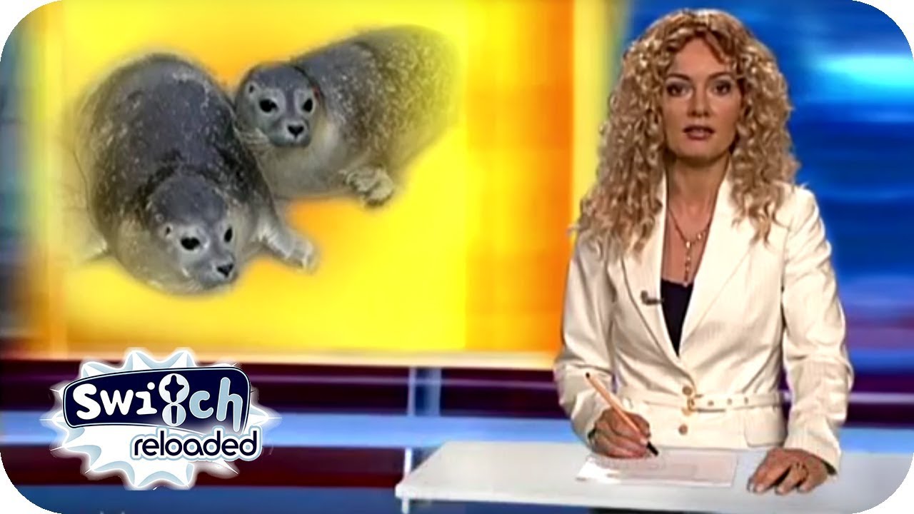 RTL Punkt 12 - S&uuml;&szlig;e Robbenbabys im Soester Zoo | Switch Reloaded Classics #reupload