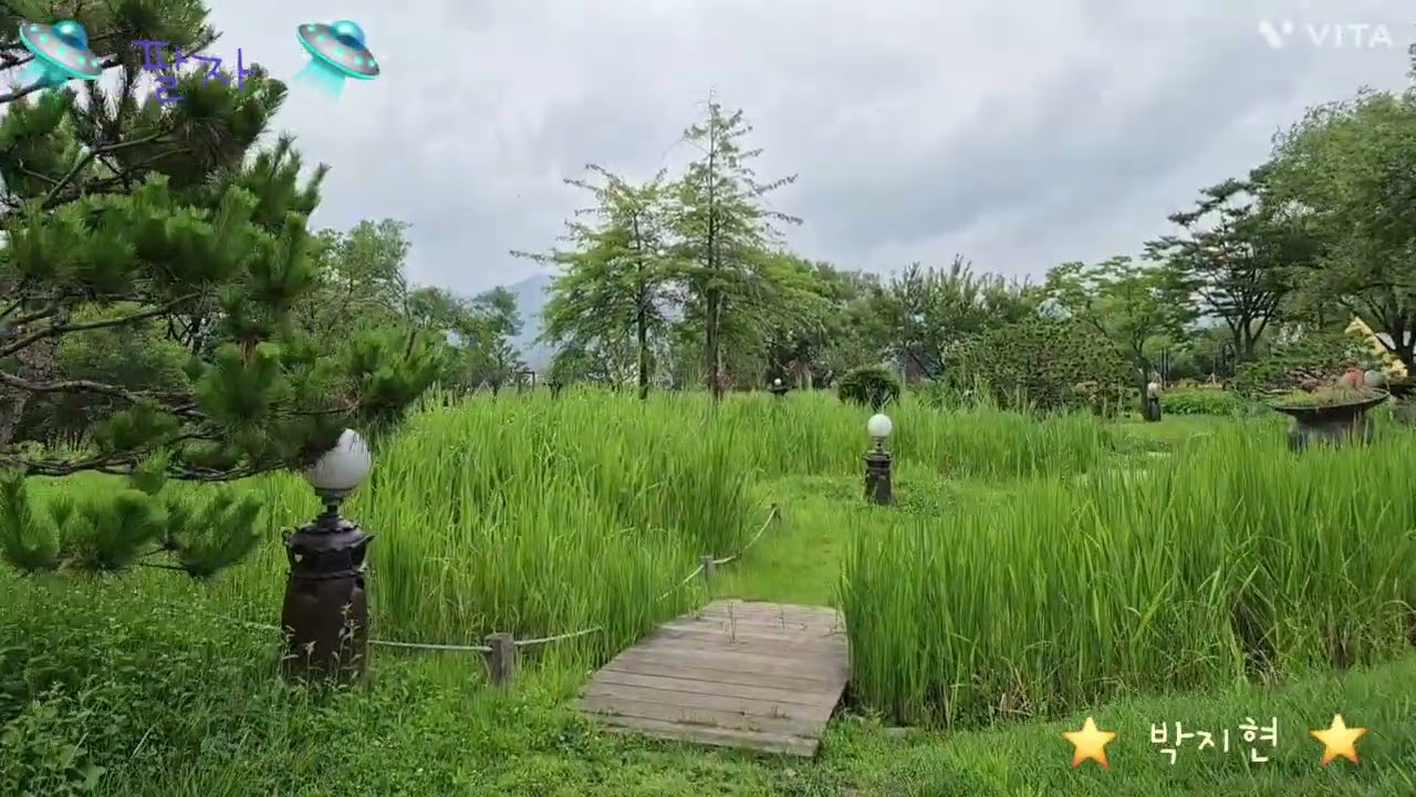 🛸팔자 ⭐️박지현 🍃양평 세미원 