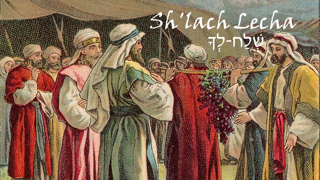 #37a Sh'lach Lecha - - D'var Torah Teaching with Deeper Understanding into the 12 Spies of Israel!