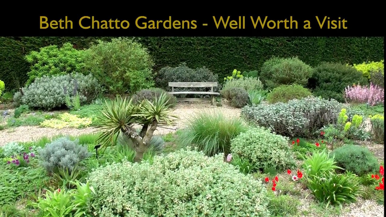 Beth Chatto Gardens