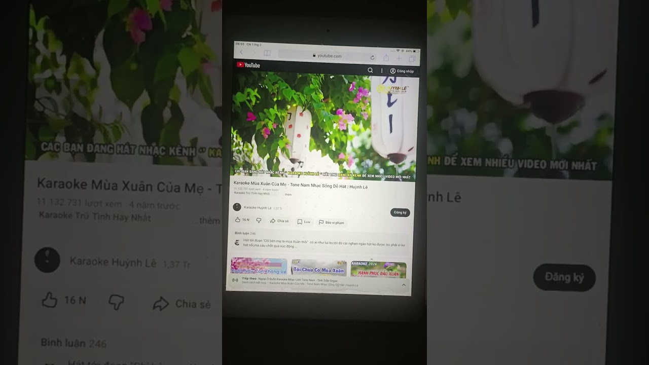 Mùa xuân của Mẹ