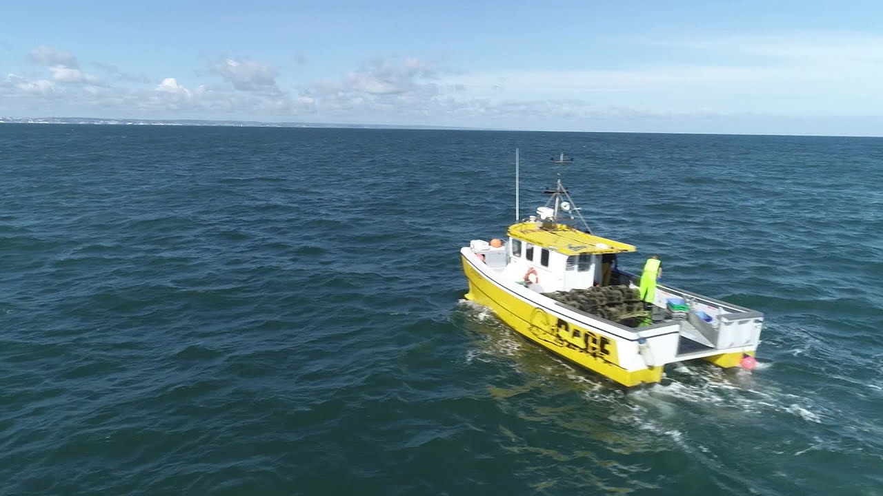 Page été Pêche Cherbourg à bord du caseyeur Out-rage 2