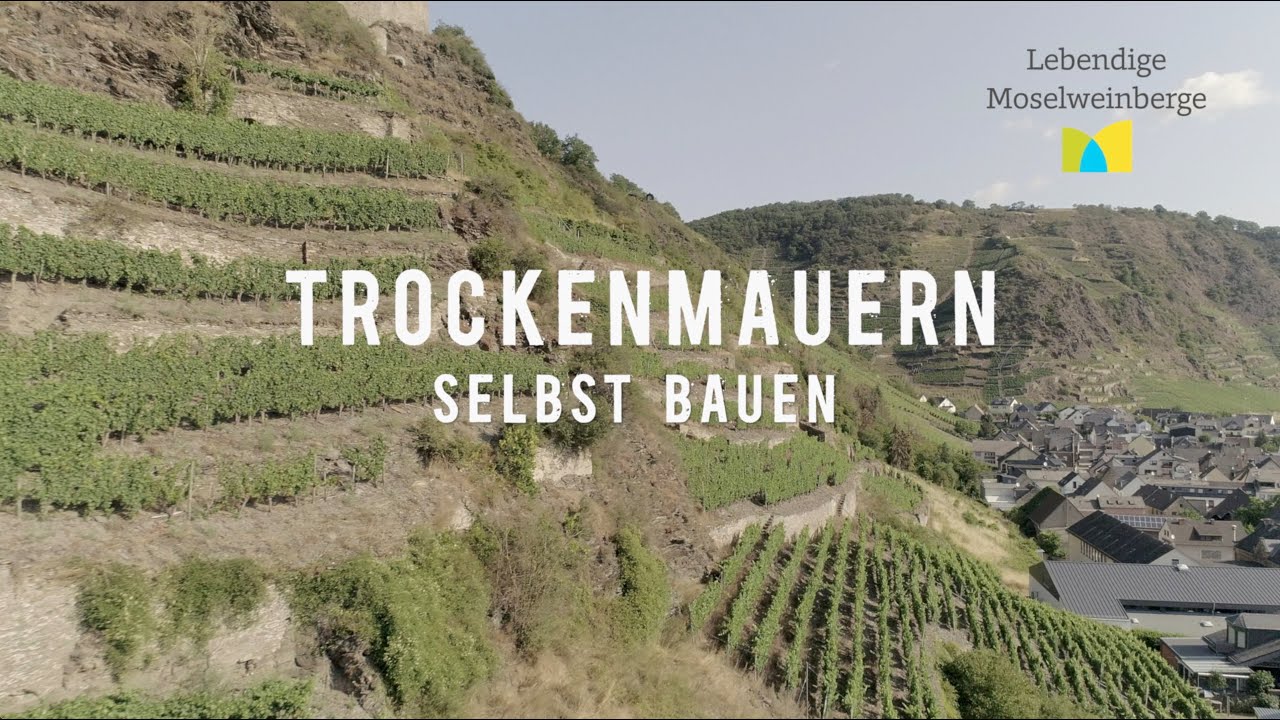 Trockenmauern selbst bauen