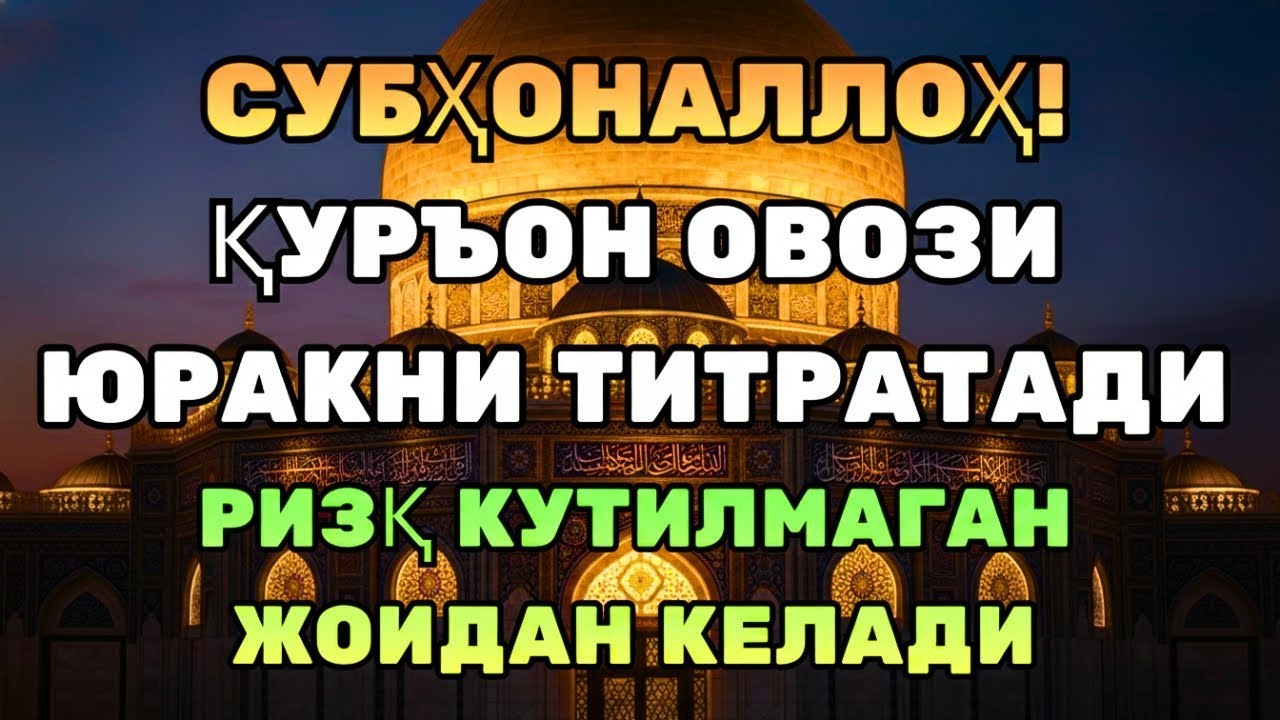 ВОЙ! ҚУРЪОН ОЯТЛАРИ ҚАЛБГА ТИНЧЛИК, ҲАЁТГА БАРАКА!