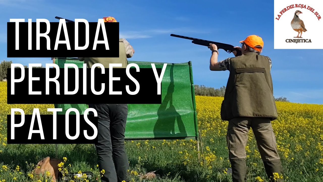 Tirada de perdices y patos - Descubre la cacer&iacute;a desde dentro