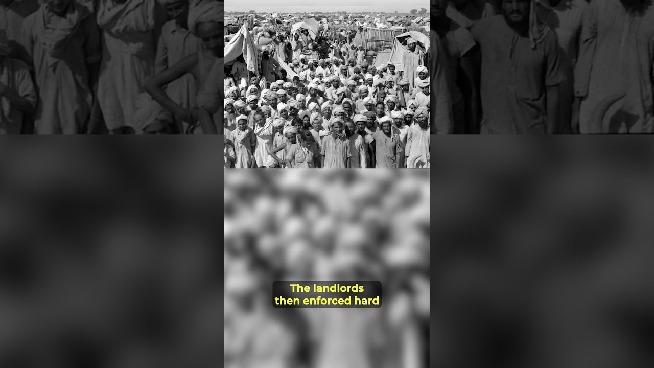 Malabar Massacre Origins💀 Part 2 #interstingfacts