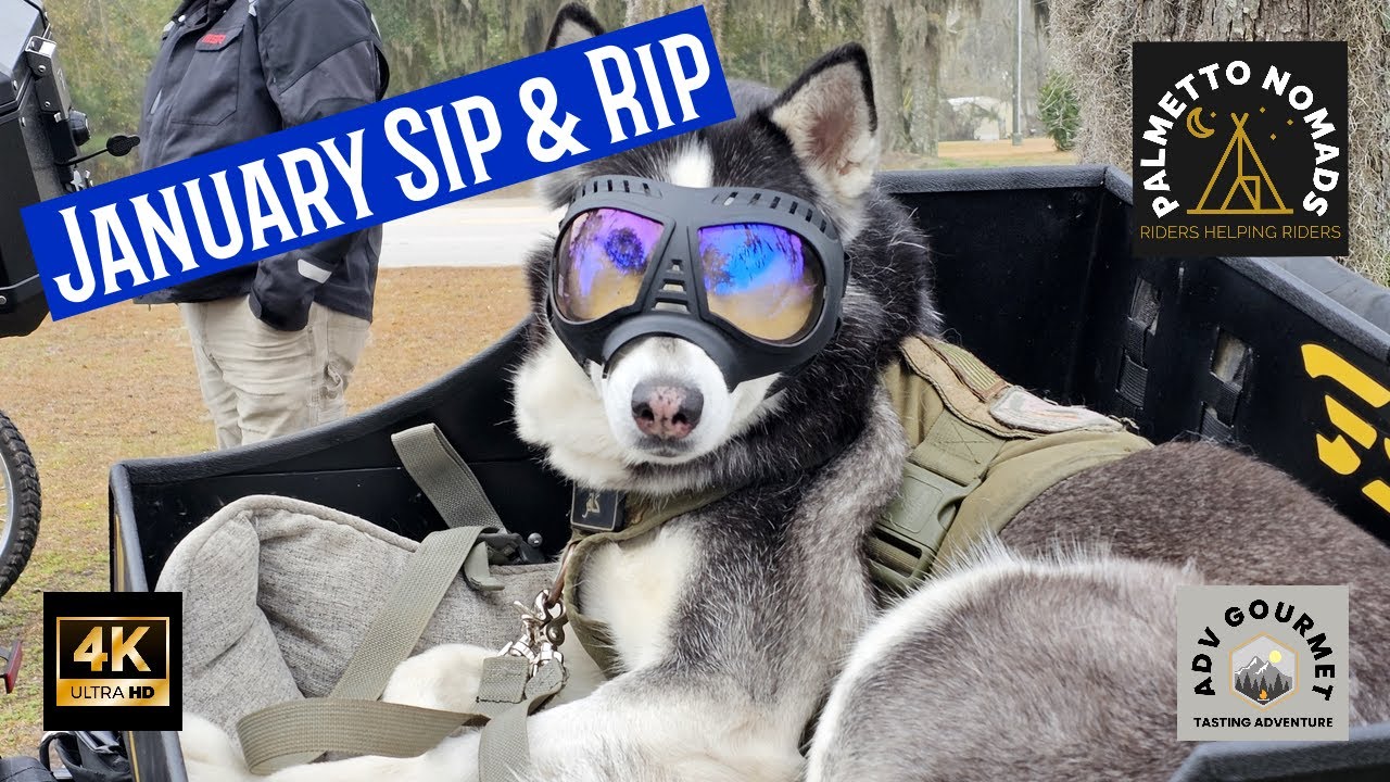 January Sip & Rip | SCAR | Palmetto Nomads