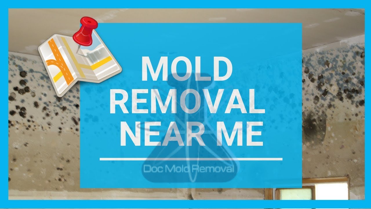 Mold Removal Near Me 330-485-0220