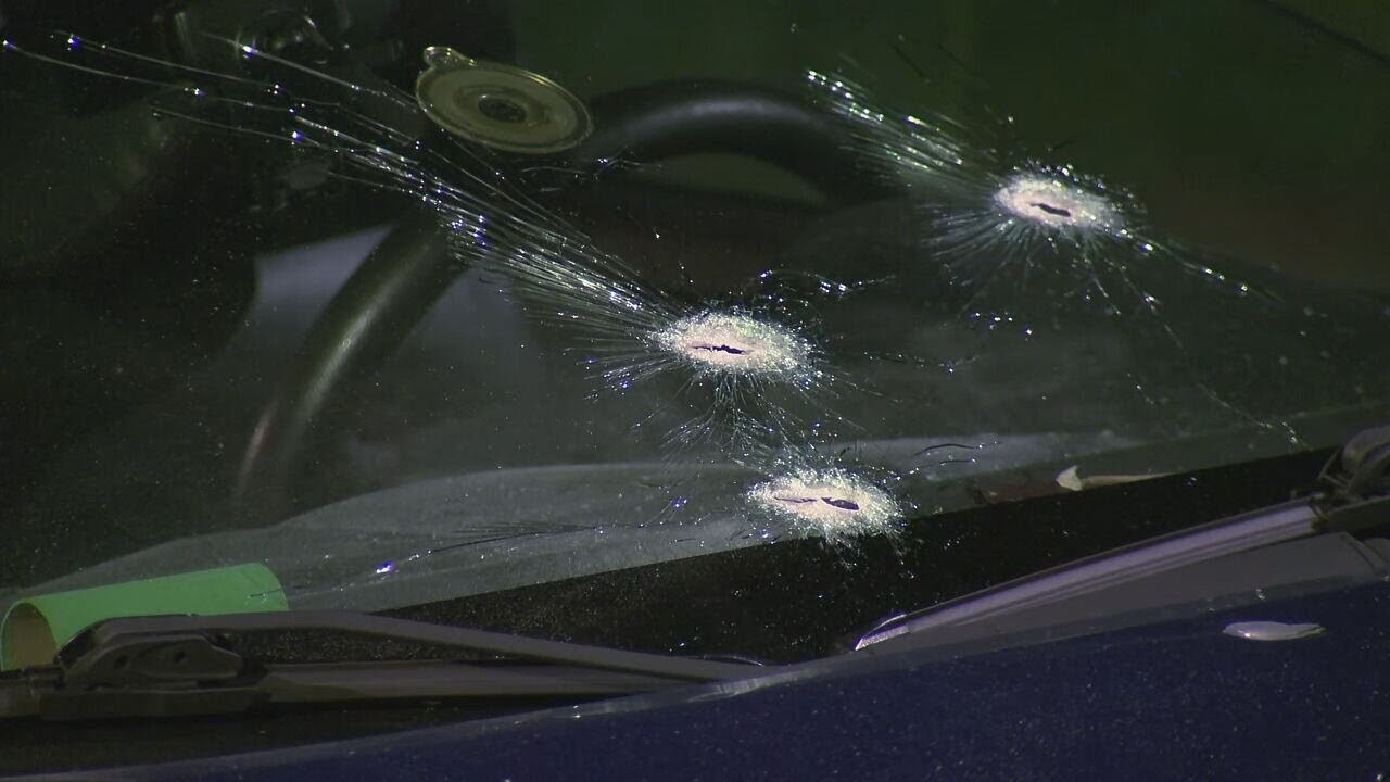 Man selling a puppy opens fire on woman, child he thought was trying to steal it