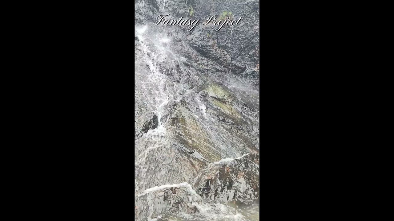 Ilay Harpaz - #8