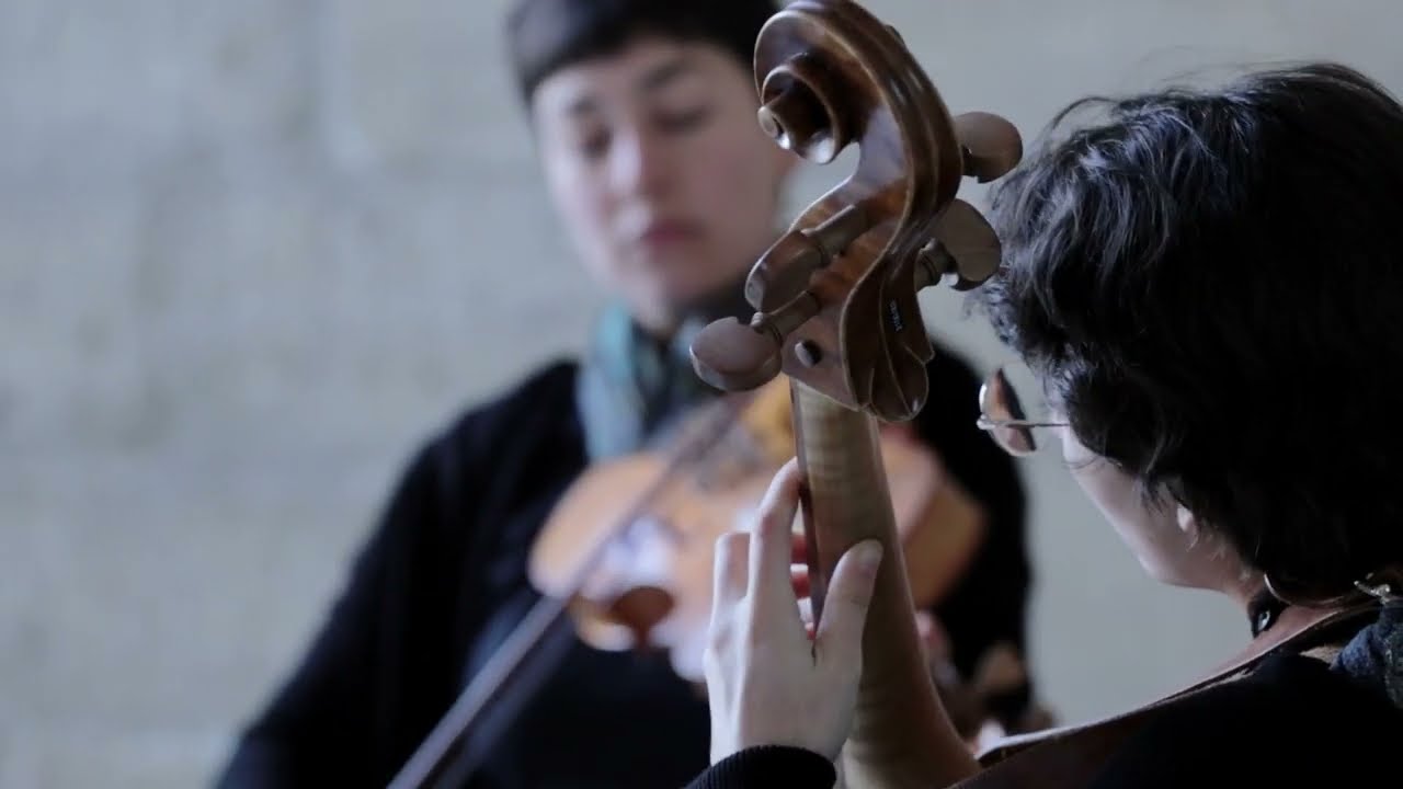 Consort La Capriola • Adrian Willaert, Ricercar Sesto