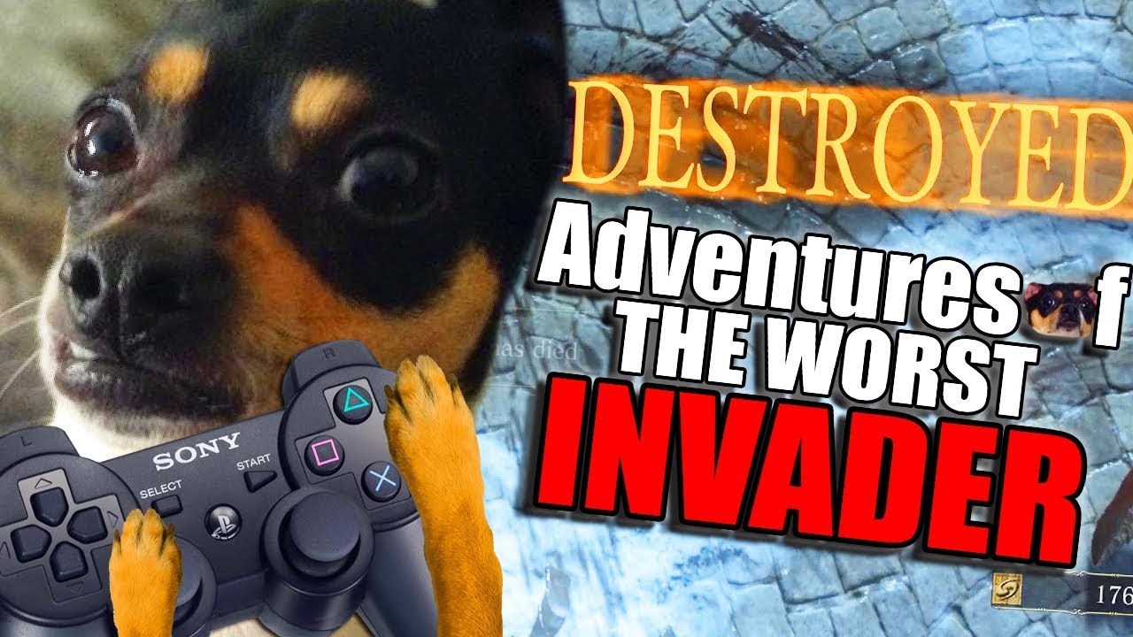 Dark Souls 3 PvP - Adventures Of The Worst SL 60 Invader - Cookie Plays For Me?
