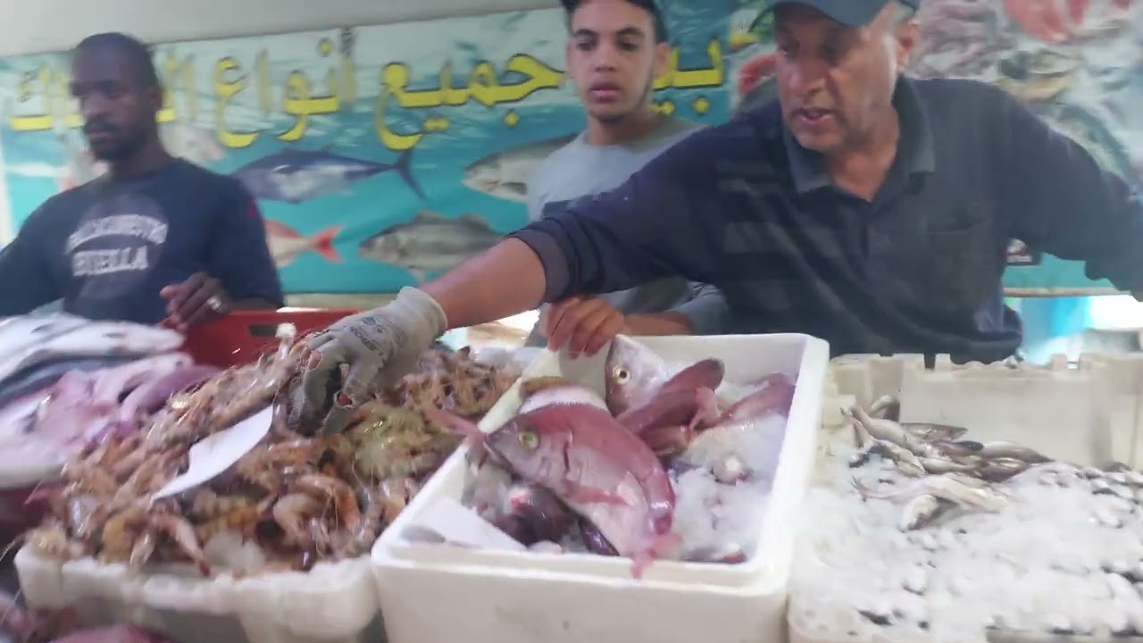 مرحبا بالجميع ليوم 13/07/25 فرخ 35dh راية 35dh  خير مجووود دخلوا تسمعوا الأثمنة 0691463136