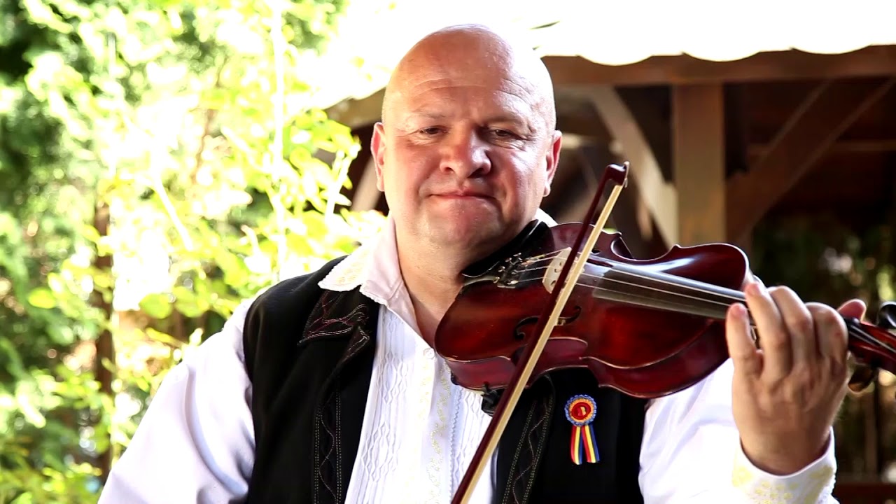 Mircea Dumuta  colaj video codru-074492624