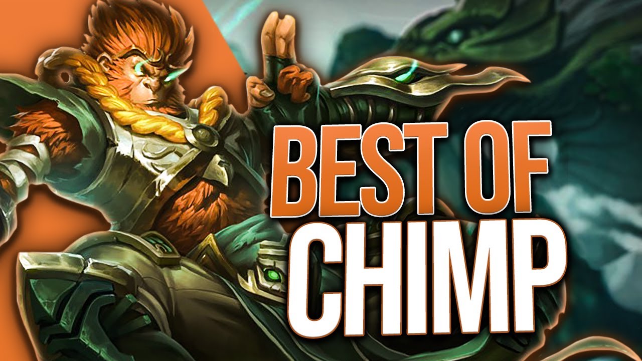 CHIMP 