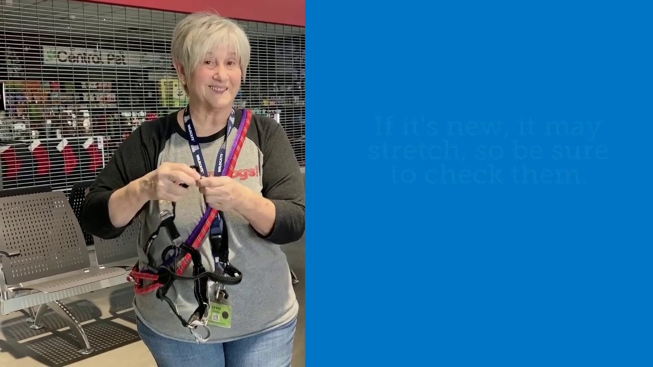 Fitting a 3 in 1 harness
