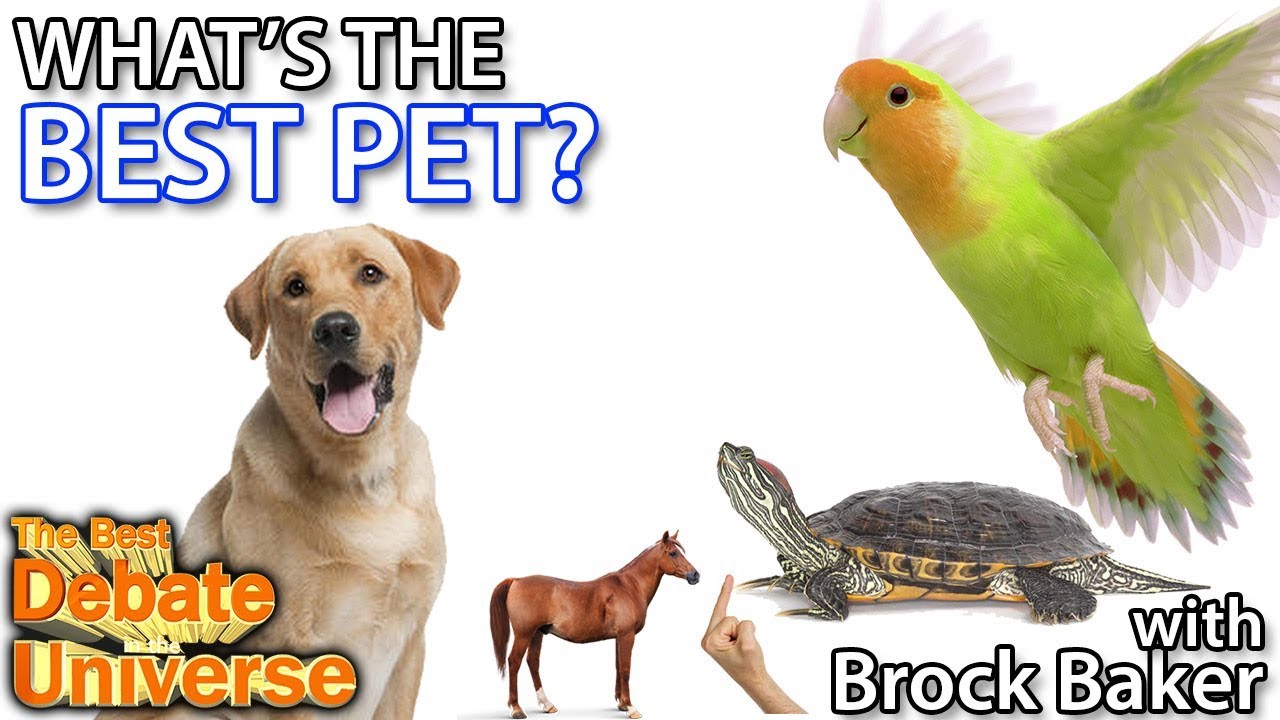What's the best pet? Brock Baker - Best Debate in the Universe
