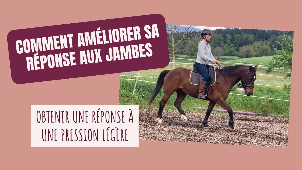 Comment rendre son cheval réactif à la jambe