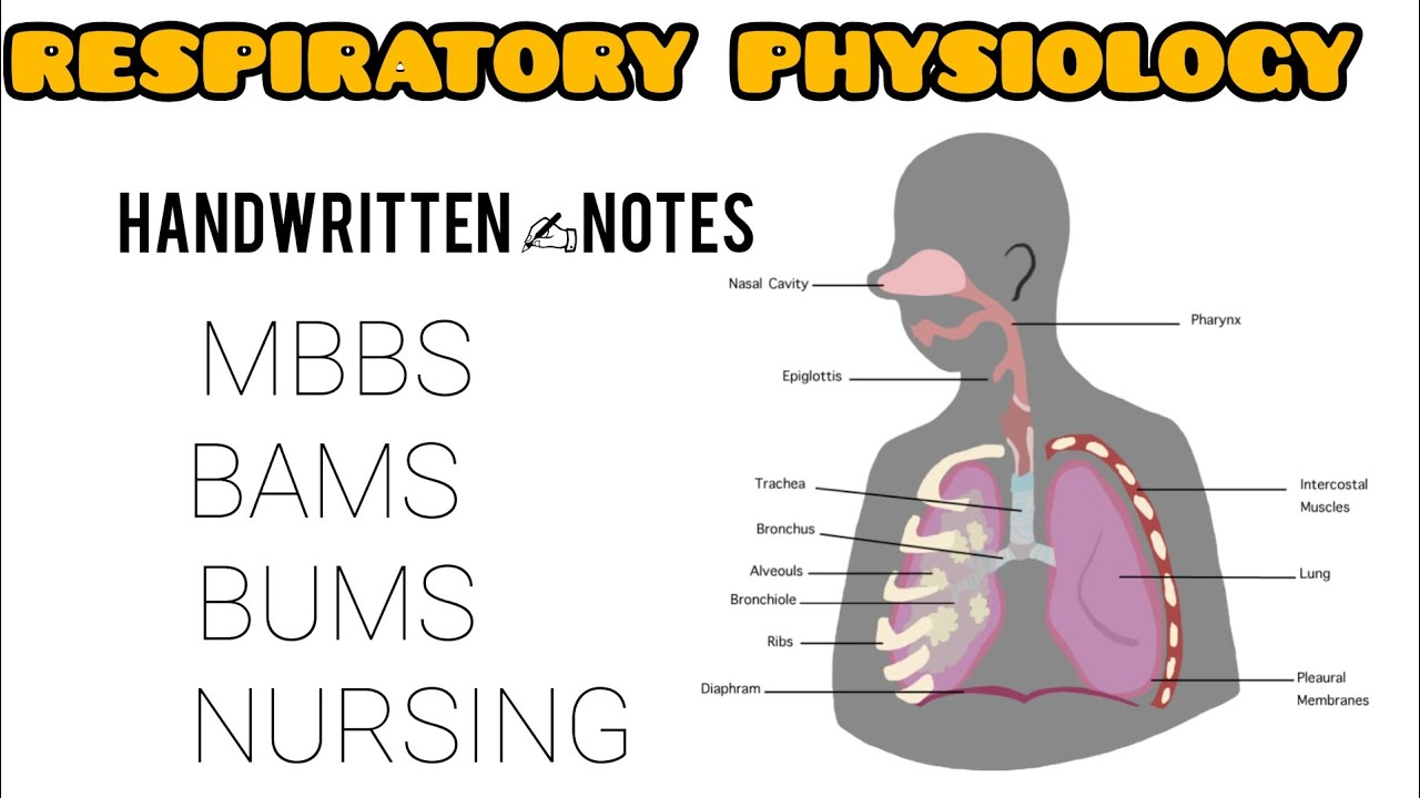 Respiratory physiology -Mbbs/bams-1st prof. Handwritten notes||#respiratoryphysiology#mbbsnotes#mbbs