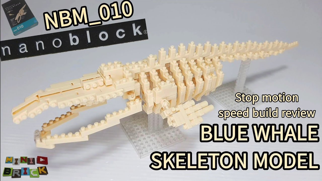 nanoblock NBM_010 | BLUE WHALE SKELETON MODEL | Stop motion speed build review