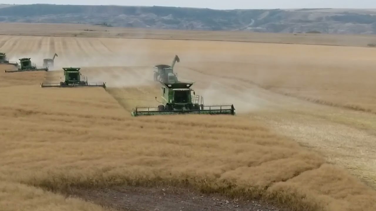 Harvesting Canola 6 John Deere S690. Alberta Canada