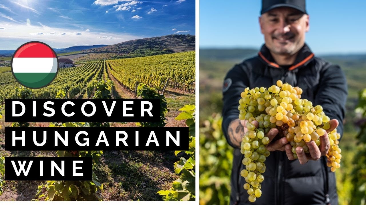 Discover Hungarian Wine: The Best Kept Secret in the Old World