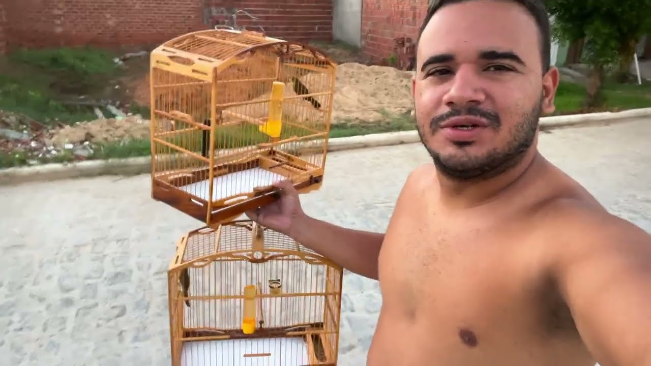 MANEJO NOS BIGODINHO PARDO