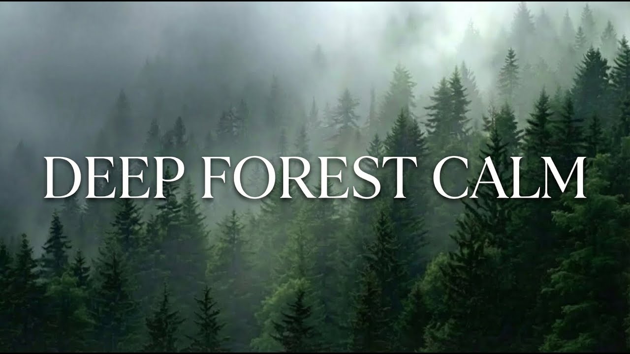 Deep Forest Calm 🌲 Relaxing Nature Music for Sleep, Meditation & Stress Relief