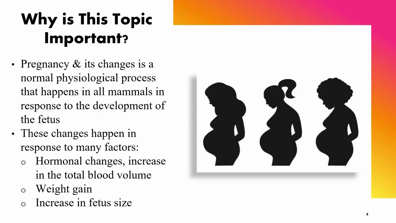 Physiological Changes During Pregnancy - Empowering Midwifery Education