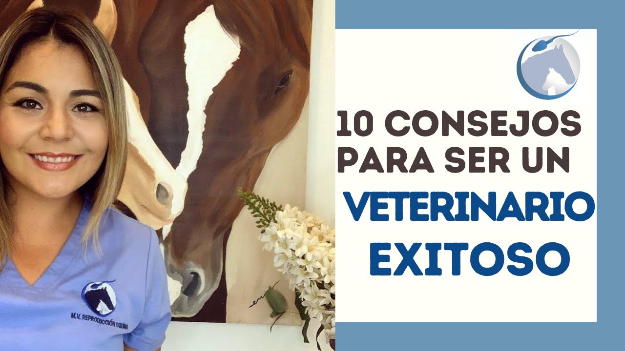 10 Consejos para un  ESTUDIANTE de MEDICINA VETERINARIA