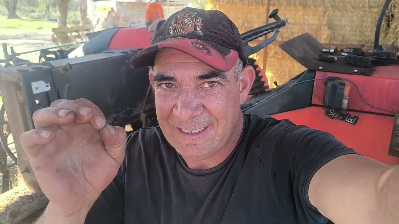 Menuda faena que me ha liado el perro pastor vasco quinto, cuento pero bien liada