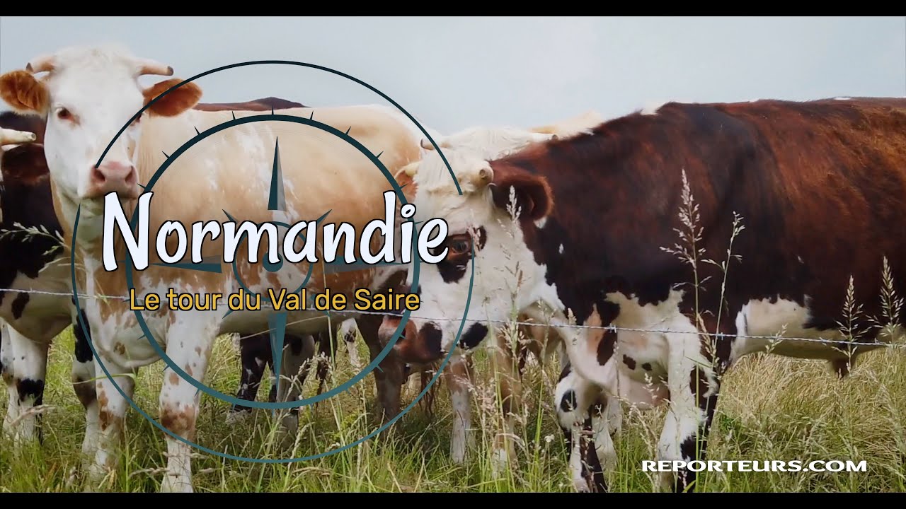 Normandie, circuit dans le Val de Saire, Saint Vaast la Hougue, Barfleur, Saint Pierre l'Eglise...