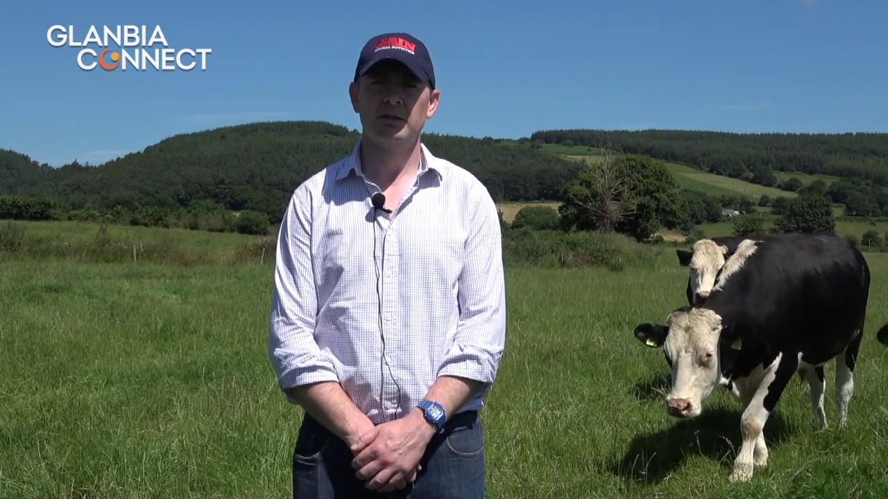 Optimum Beef Finishing Practices