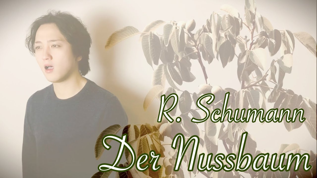 Der Nussbaum - R. Schumann クルミの木 / シューマン作曲【日本語訳付き】