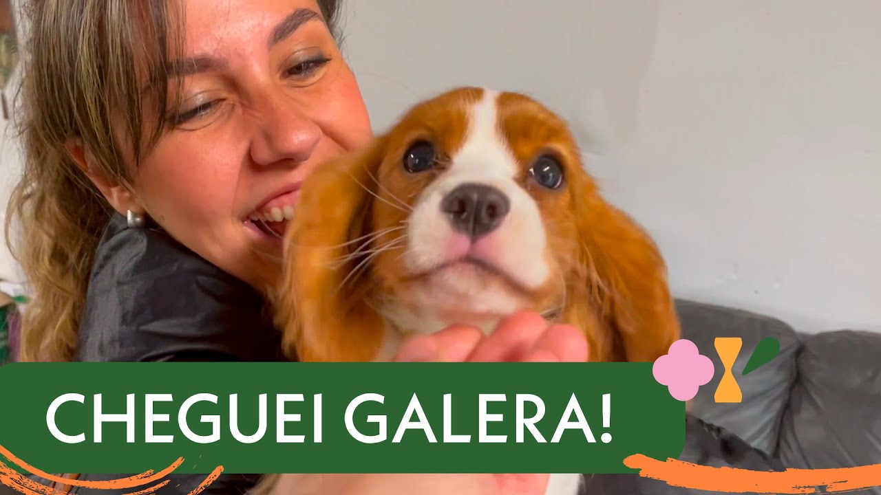 VENHA CONHECER O NOSSO FILHOTE!!!