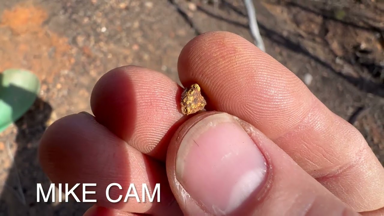 GOLD Pickers All Day in the Burn Scar - Metal Detecting for Gold