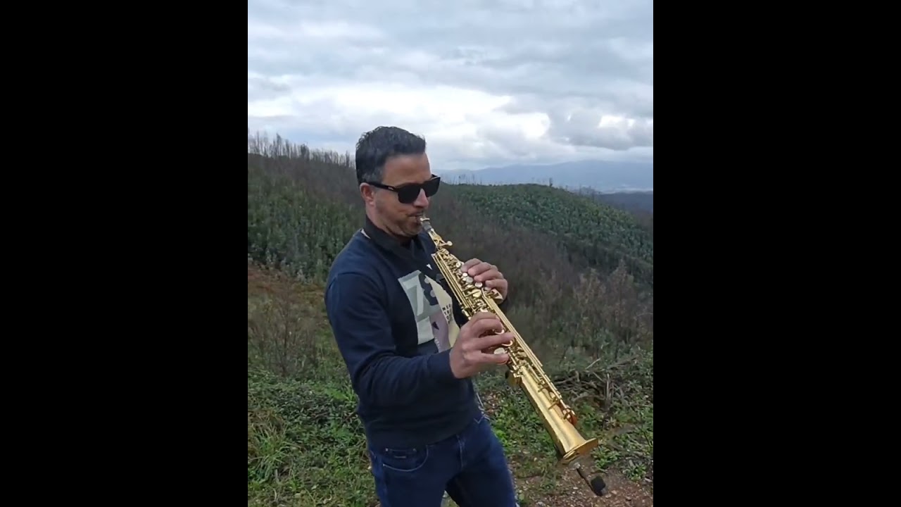 Adagio - Albinoni saxophone cover 🎷