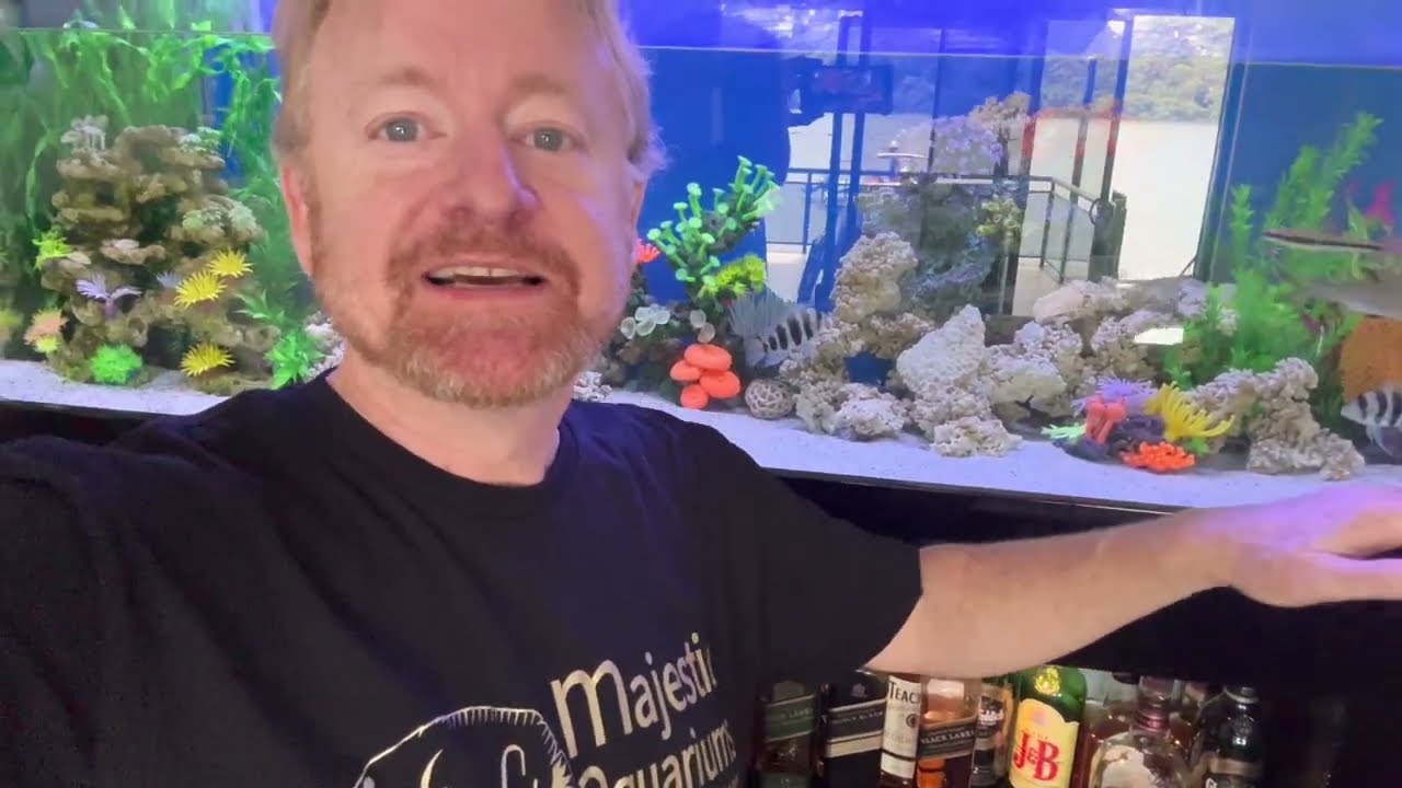 Servicing the Cichlid Reef Aquarium Part part 3