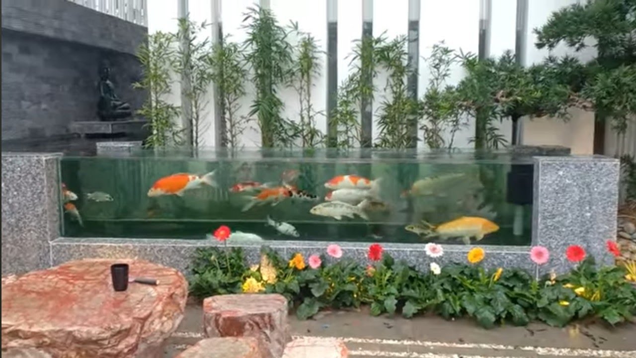 feira dos peixes ornamentais de guarulhos