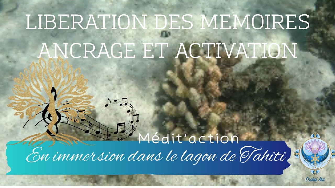 Médit'Action  ancrage et activation de libération des mémoires personnelles dans le lagon de Tahiti