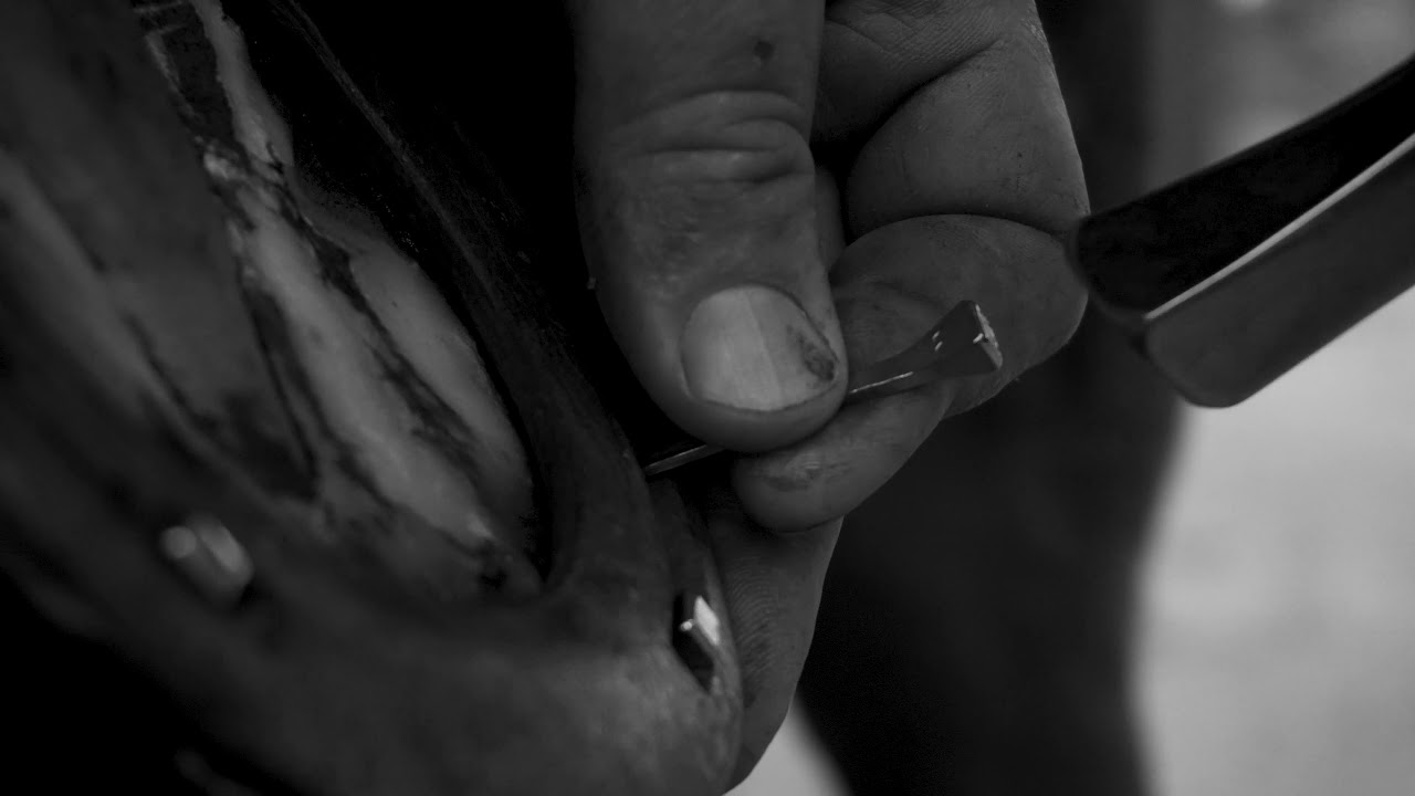 Mustad: Day with Danny Elliot