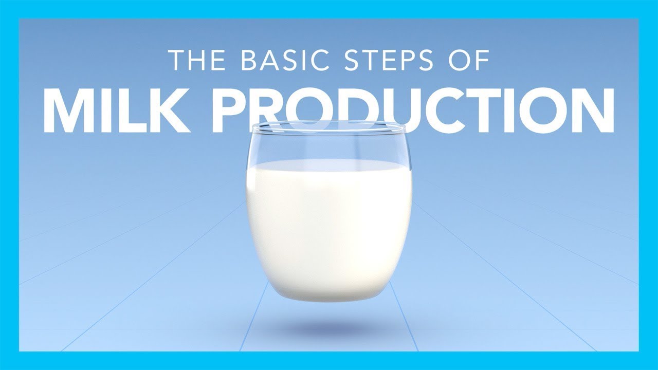 Clean Milk Production (1.3): Dr. Mandal PK