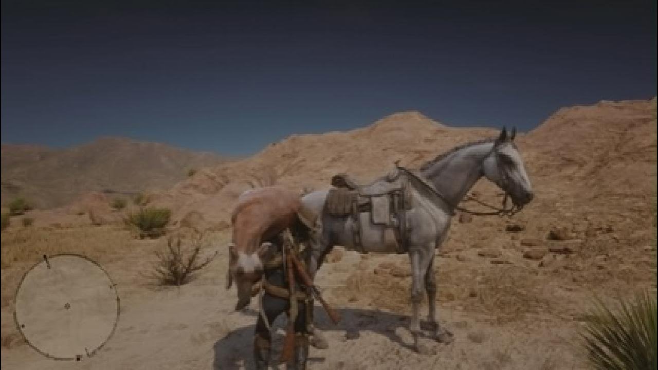 When gettin on yer Horse causes a Whoopin